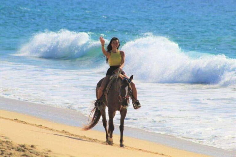 Cabo San Lucas: Scenic Horseback Ride Along the Corridor - The Practical Side: Pricing, Duration, and Logistics