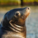 Cabo San Lucas: Sunset Cruise - Final Thoughts: Is This Sunset Cruise Worth It?