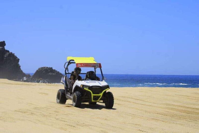 Cabo San Lucas: UTV Razor Fun with Desert, Beach, & Tequila - What’s Included and What Not