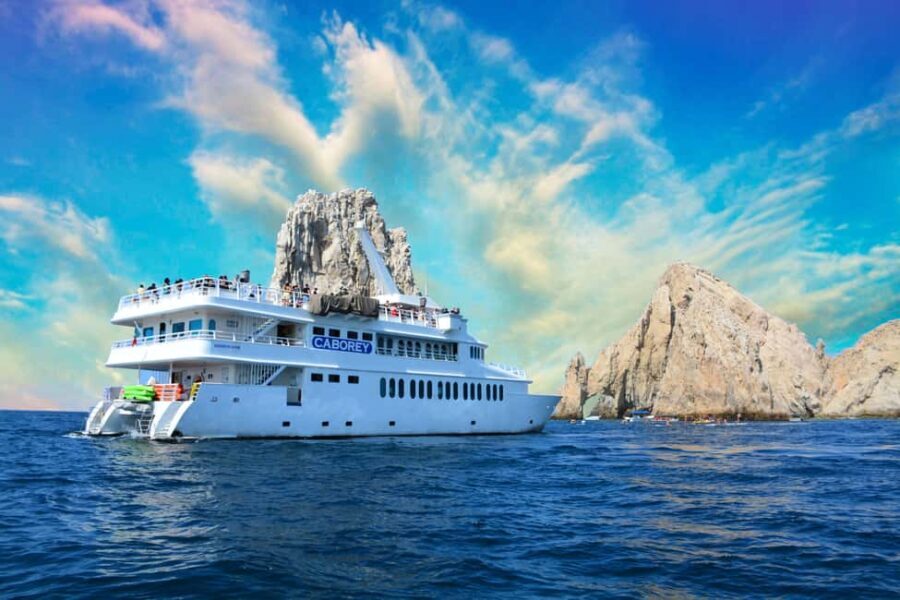 Cabo San Lucas: Whale Watching Tour with Breakfast - Final Thoughts