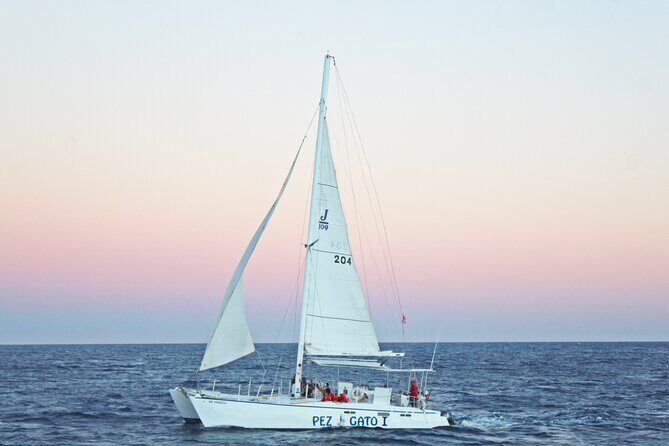 Cabo's Premier Catamaran Snorkeling: Explore the Waters! - The Experience: What You Can Expect