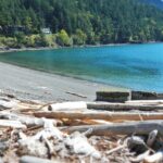 Cafes and Kayaks: Full Day Kayaking Adventure on Orcas Island - The Full Breakdown: What to Expect from the Cafes and Kayaks Tour