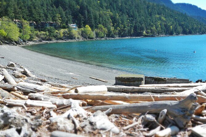 Cafes and Kayaks: Full Day Kayaking Adventure on Orcas Island - The Full Breakdown: What to Expect from the Cafes and Kayaks Tour