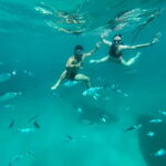 Cagliari: Boat Tour with 4 Swim Stops, Snorkeling & Prosecco - The Experience: What You Will Love