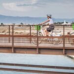 Cagliari E-Bike Tour: Canals & Flamingos at Molentargius - Authentic Reviews and Insights