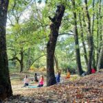 Cagliari: forest bathing at Sette Fratelli Park - Practical Details and Tips