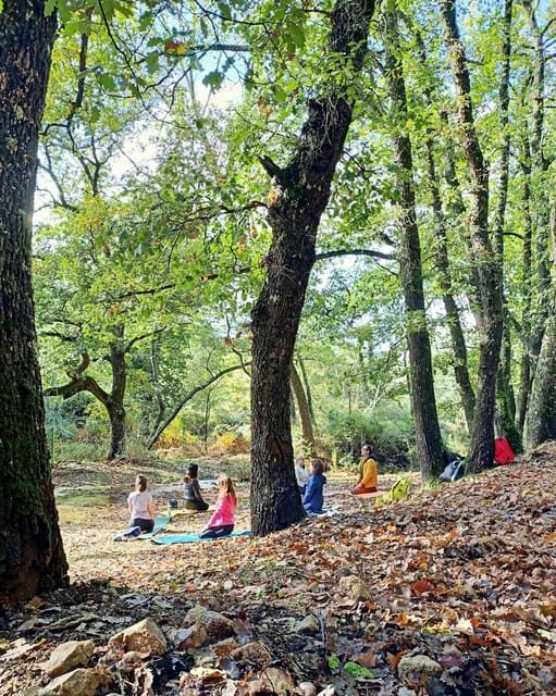 Cagliari: forest bathing at Sette Fratelli Park - Practical Details and Tips