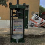 Cagliari Olive Oil Museum: Tours & Tasting a Dolianova - A Closer Look at the Experience