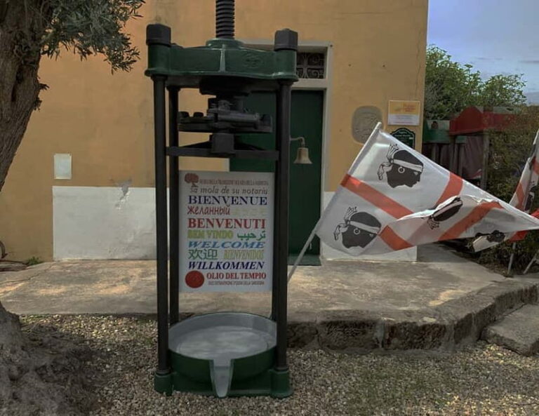 Cagliari Olive Oil Museum: Tours & Tasting a Dolianova - A Closer Look at the Experience