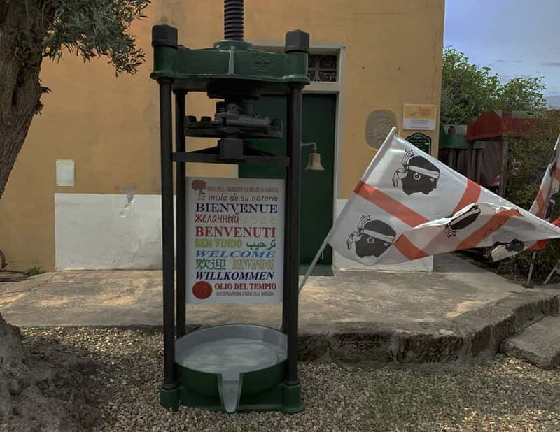 Cagliari Olive Oil Museum: Tours & Tasting a Dolianova - A Closer Look at the Experience