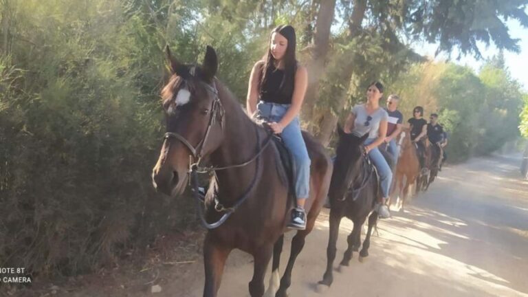 Cagliari: panoramic horseback riding - Who Is This Tour Best For?
