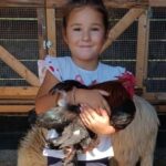 Cagliari: visit the animals of a farm - Why This Tour Offers Good Value