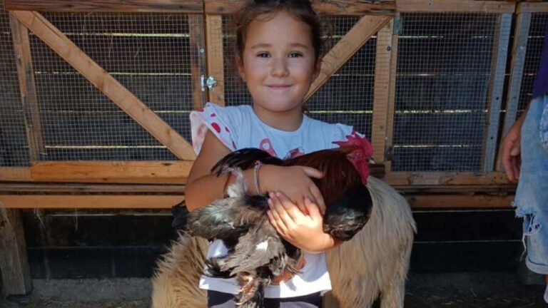 Cagliari: visit the animals of a farm - Why This Tour Offers Good Value