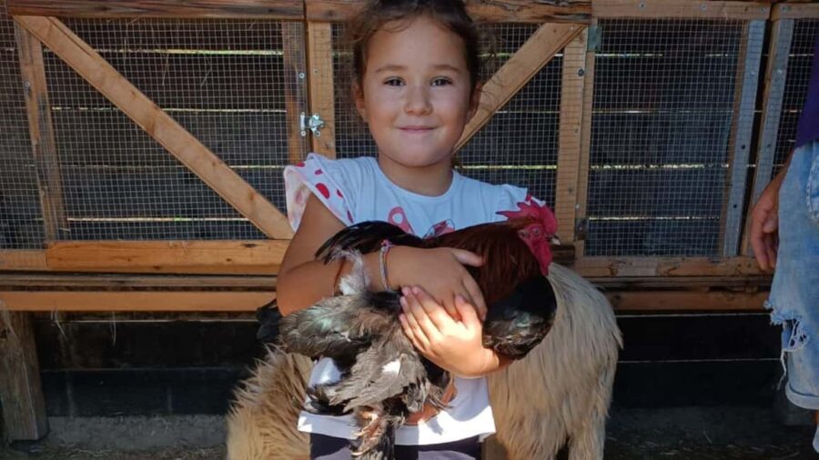 Cagliari: visit the animals of a farm - Why This Tour Offers Good Value