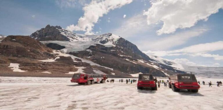 Calgary/Banff: Icefields Parkway & Columbia Icefield Tour - What Makes This Tour Stand Out