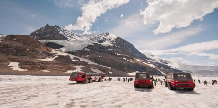 Calgary/Banff: Icefields Parkway & Columbia Icefield Tour - What Makes This Tour Stand Out