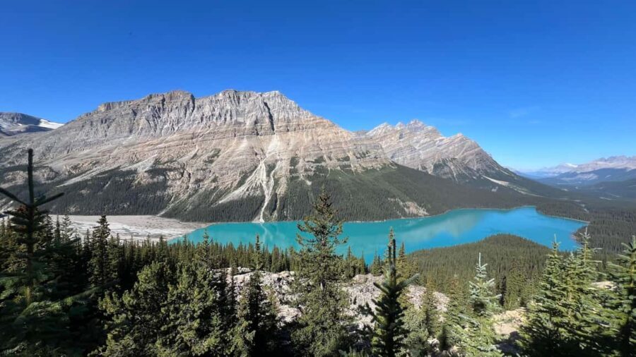 Calgary: Columbia Icefield & Bow Lake & Peyto Lake - What’s Included and What to Consider