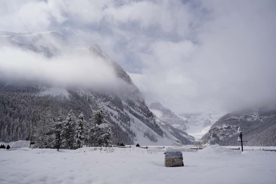 Calgary: Johnston Canyon Icefalls & Lake Louise Guided Tour - A Deep Dive into the Tour Experience
