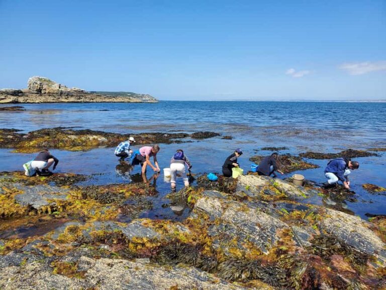 Camaret-sur-mer: Seaweed picking and cooking workshop - The Value of the Experience