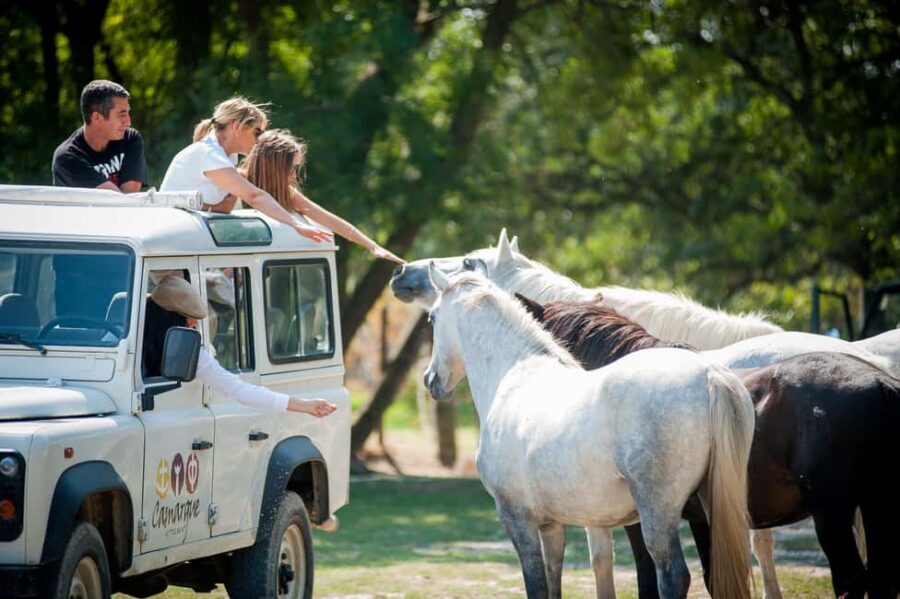 Camargue: Safari 4x4, VIP Tour with Meal 8h, Grau du Roi - What Makes This Tour Special