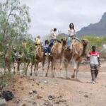 Camel Experience - FAQ