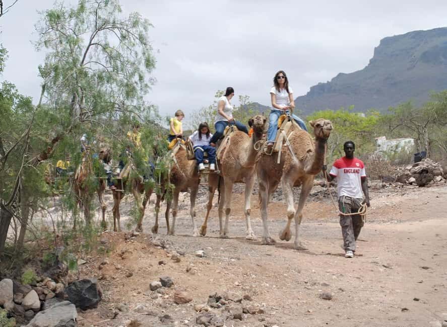 Camel Experience - FAQ