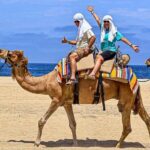 Camel Safari and Gastronomic Experience in Los Cabos - Who Is This Tour Best For?