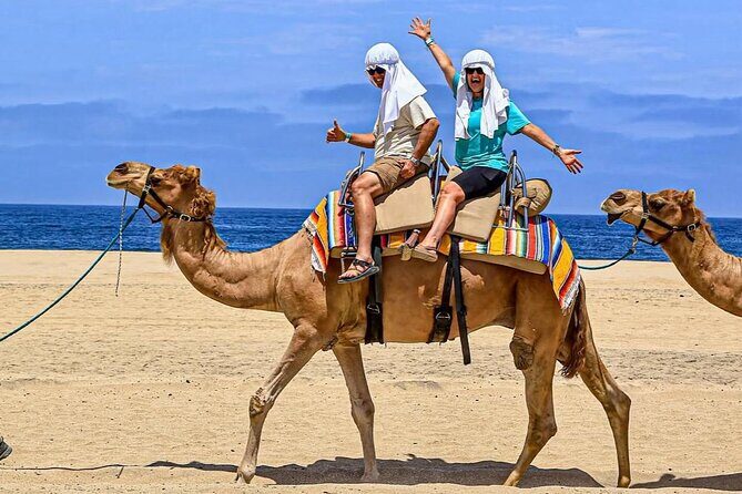 Camel Safari and Gastronomic Experience in Los Cabos - Who Is This Tour Best For?
