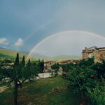 Camerota: Guided wine tasting - Practical Considerations: Is This Tour Right for You?