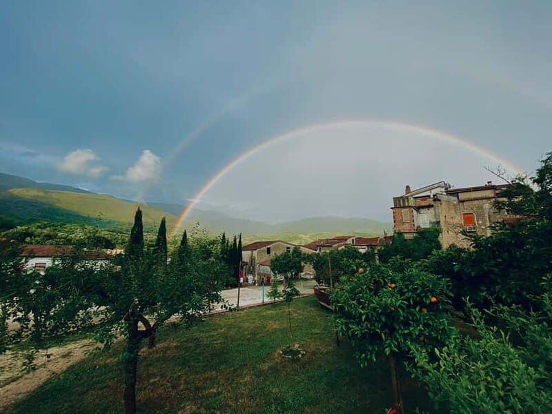 Camerota: Guided wine tasting - Practical Considerations: Is This Tour Right for You?