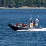 Campbell River: 4 Hour Whale & Wildlife Zodiac Boat Tour - Who Should Consider This Tour?