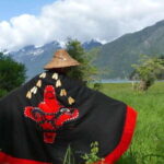 Campbell River: Deluxe Grizzlies & Indigenous Culture tour - Authentic Encounters and Insider Insights