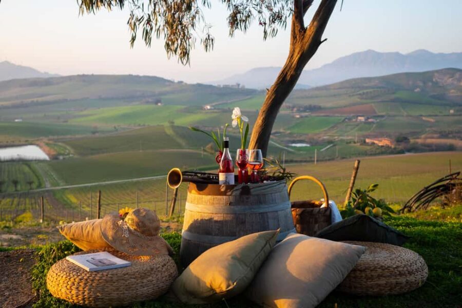 Camporeale: Sallier de La Tour Wine Discovery Tour - An In-Depth Look at the Sallier de La Tour Wine Discovery Tour