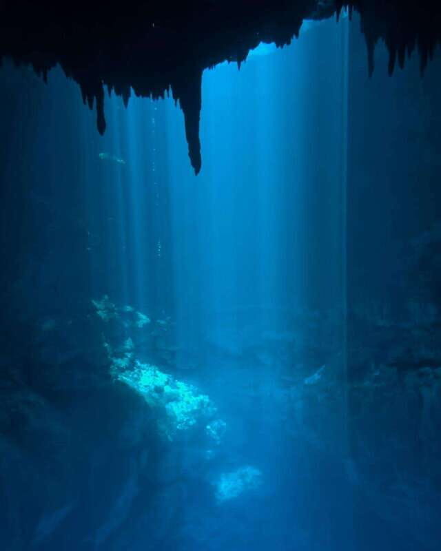 Cancun 2 Cenote Dives: The Pit + Nicte Ha - Certified Divers - What’s Included and What To Consider