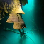 Cancun: 2 Dives in Cenotes Ki Ha + Zapote - Certified Divers - Exploring the Itinerary: What to Expect