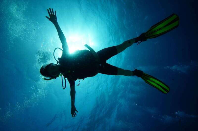 CANCUN: 2T REEF DIVES FOR CERTIFIED DIVERS - The Reefs: What Makes Them Special