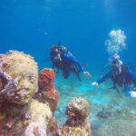 Cancun: 3 Days SDI Open Water Diver Certification - What’s Included and What’s Not