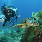 Cancun: Beginner Scuba Diving at Underwater Museum - What To Expect During Your Tour