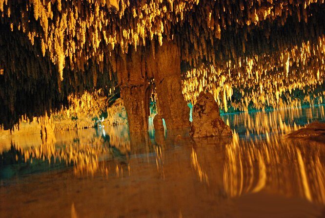 Cancun Best Deal 3x1: Snorkeling, Zip Lines & Rappel - What Travelers Say