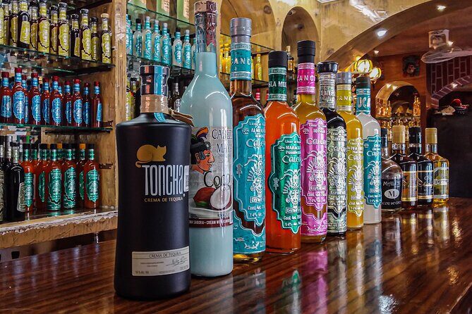 Cancun City Adventure! Private Half Day Tour - A Closer Look at the Cancun City Adventure Tour