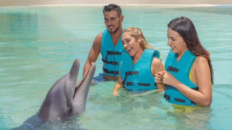 CANCUN: Dolphin Swim Adventure with buffet and soft drinks - Practical Considerations