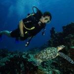 CANCUN: FIRST TIME DIVERS CANCUN - The Itinerary: Step-by-Step