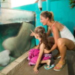 Cancún: Interactive Aquarium Admission - Practical Details and Tips