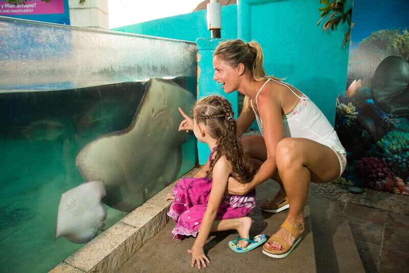 Cancún: Interactive Aquarium Admission - Practical Details and Tips