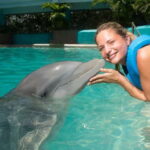 Cancun: Interactive Aquarium - Swim with Dolphins Splash - The Pros and Cons Based on Real Feedback