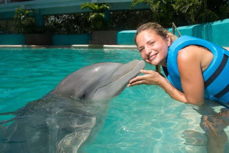 Cancun: Interactive Aquarium - Swim with Dolphins Splash - The Pros and Cons Based on Real Feedback