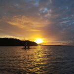 Cancun: Kayaking Tour in Nichupte Lagoon - What to Expect from Your Nichupte Lagoon Kayaking Adventure