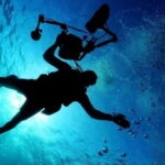 Cancun: MUSA Diving for certified divers morning dive trip - What to Expect on the Day