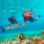 Cancún: Puerto Morelos Reef Snorkeling Tour & Seaside Lunch - Authentic Perspectives from Past Travelers
