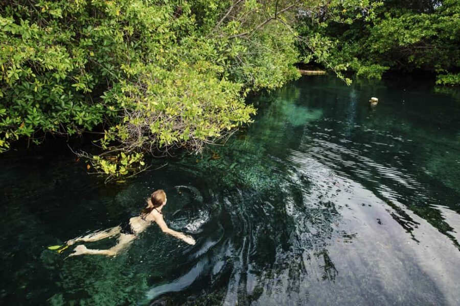 Cancun: Quad biking, zip lines, and swimming in a jungle cenote - Frequently Asked Questions